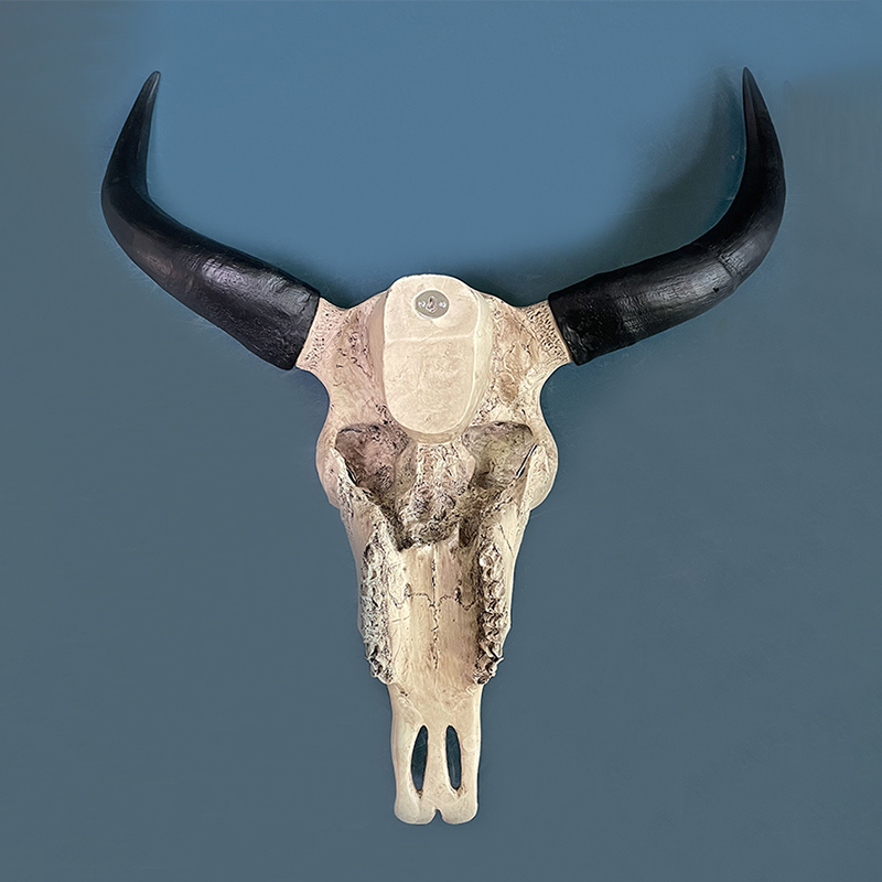 Artificial Cow Skull Sheep Sku - مراجعة Interior Design Home Decor وسعره