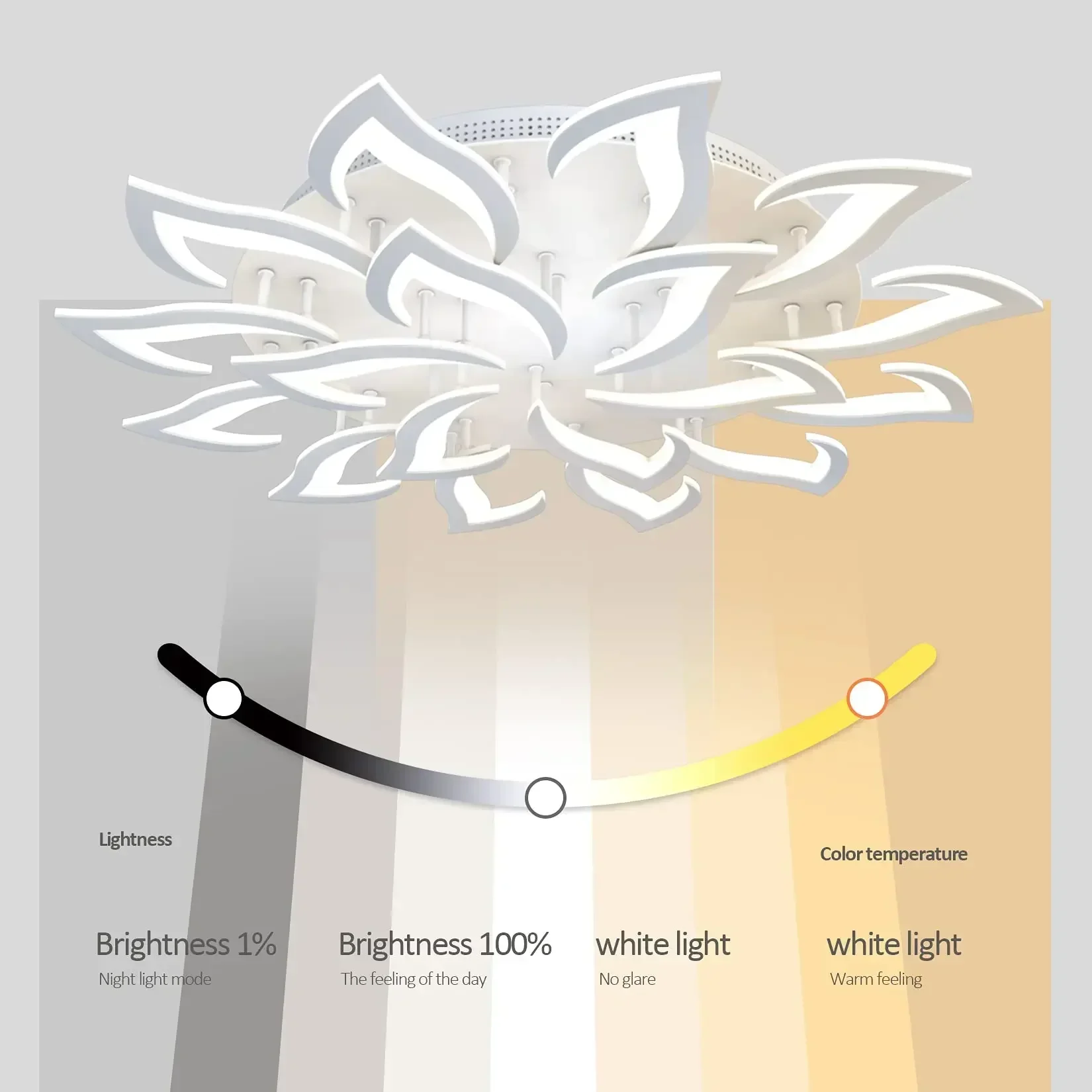 Designer LED Petal Chandelier  - مراجعة Interior Design Remote وسعره