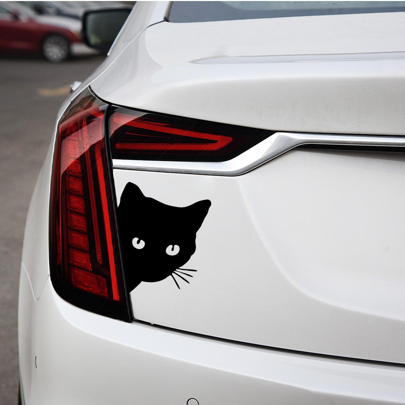 Car interior stickers black/wh - مراجعة Interior Design Intern وسعره