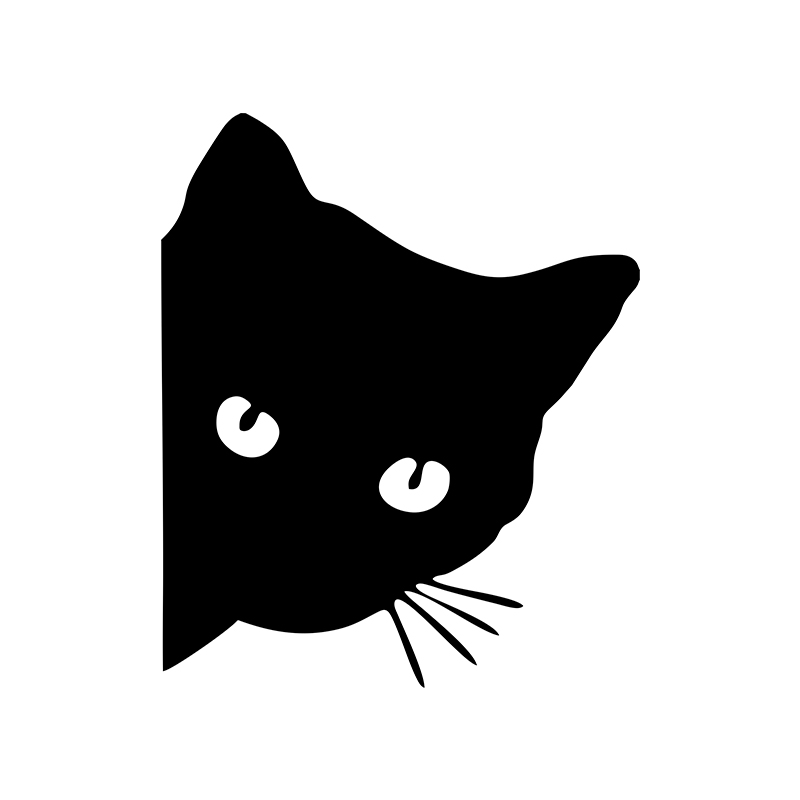 Car interior stickers black/wh - مراجعة Interior Design Intern وسعره
