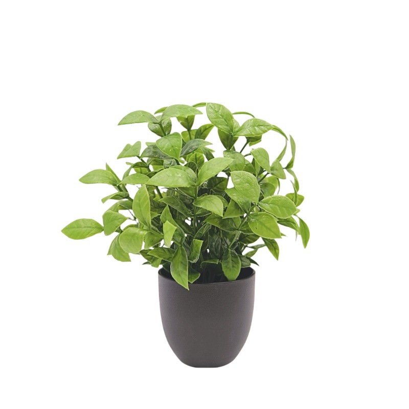 Simulation green plant bonsai  - مراجعة Interior Design Home Decor وسعره